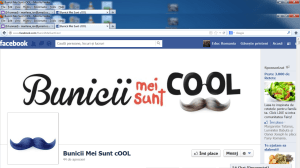 pafina de facebook prt screen