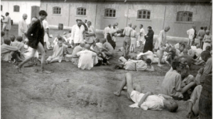 lagarcalarasi_69970200